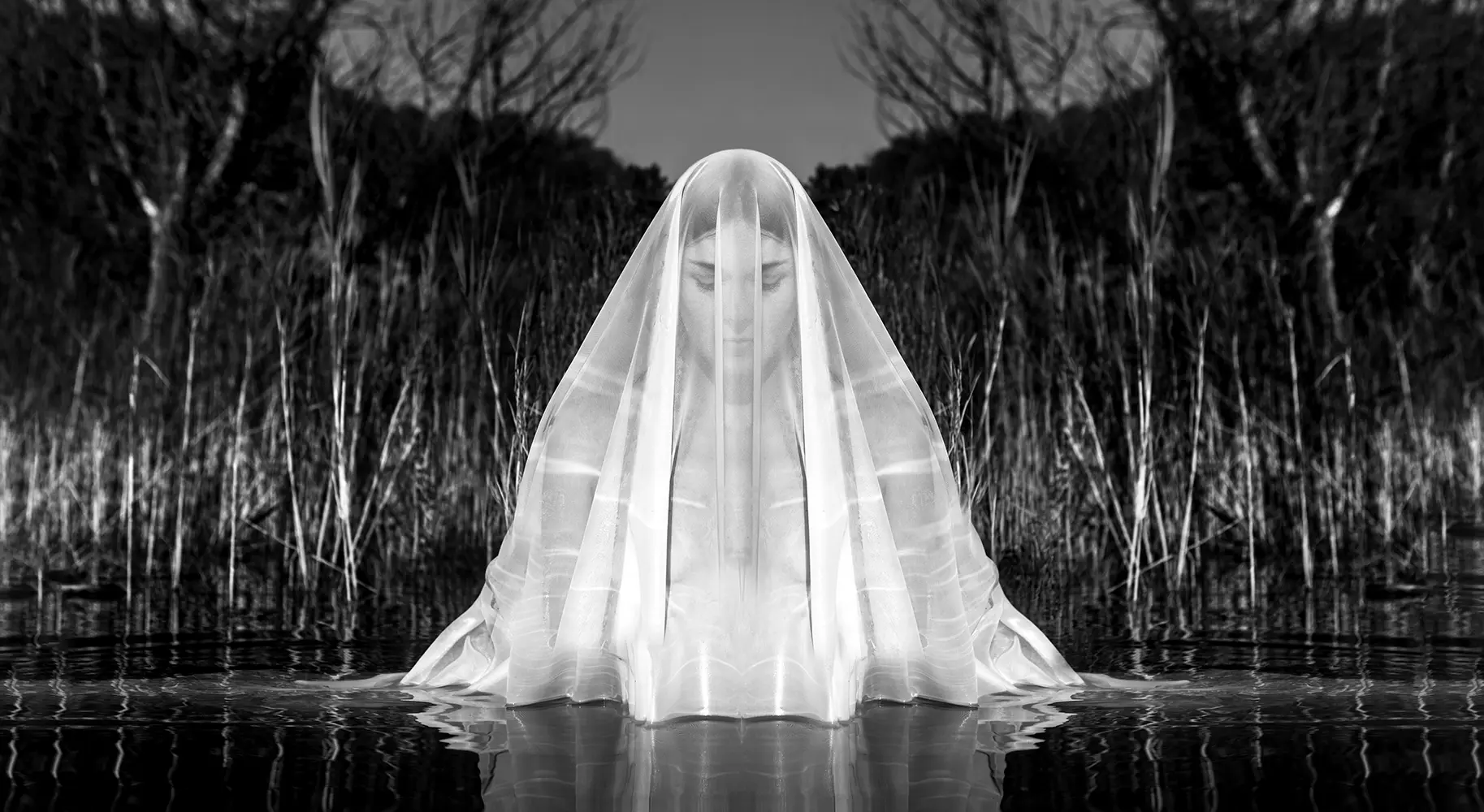 - VIRGIN Suicide -