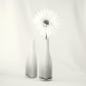 Hakan Strand photographe 6