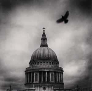 Hakan Strand photographe 8