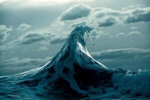 phot art photographe 1