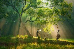 Rarindra Prakarsa photographe 3