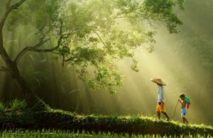 Rarindra Prakarsa photographe 5