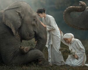 Rarindra Prakarsa photographe