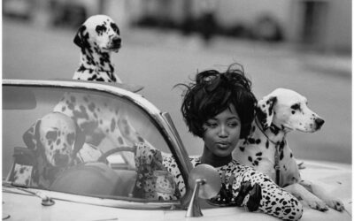 La Photographie en Noir et Blanc : Art intemporel et techniques essentielles