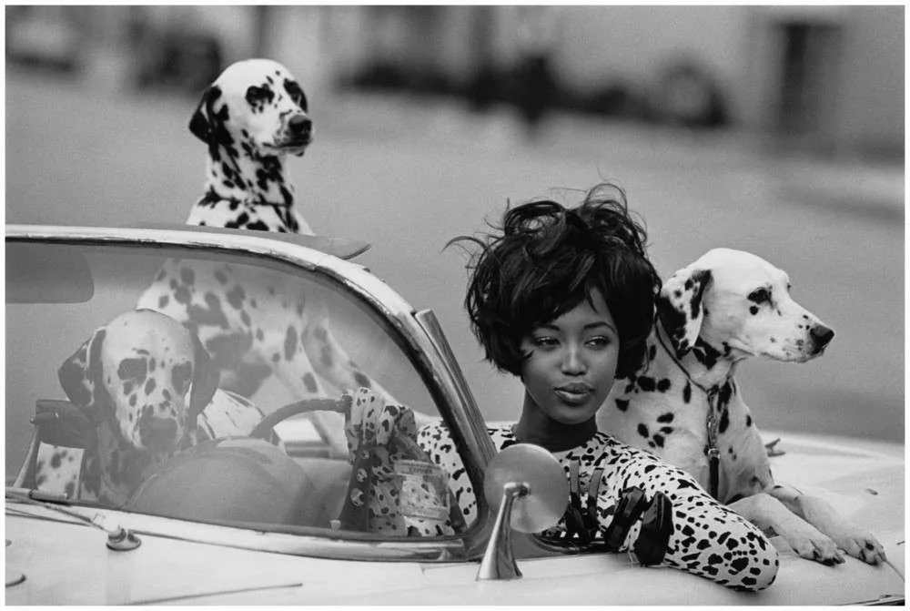 Photographie noir et blanc rock : le guide expert 2026 d’Eric CANTO