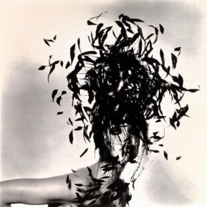 Irving Penn photographe 3
