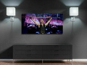 Vente photos de concert 3