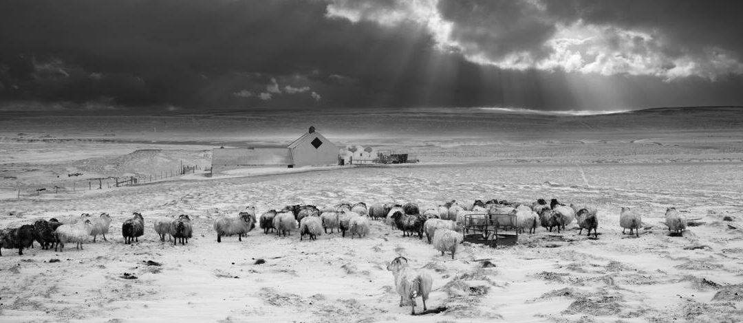La magie des photos noir et blanc : intemporelle