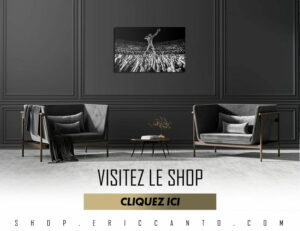shop eric canto