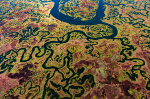 Yann Arthus Bertrand exposition 10
