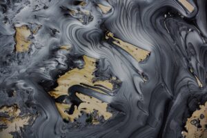 Yann Arthus Bertrand exposition 3