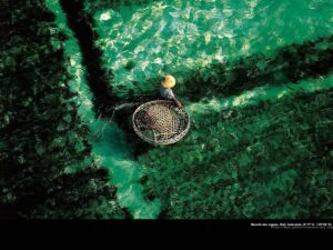 Yann Arthus Bertrand exposition 6
