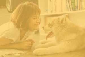 pets 1