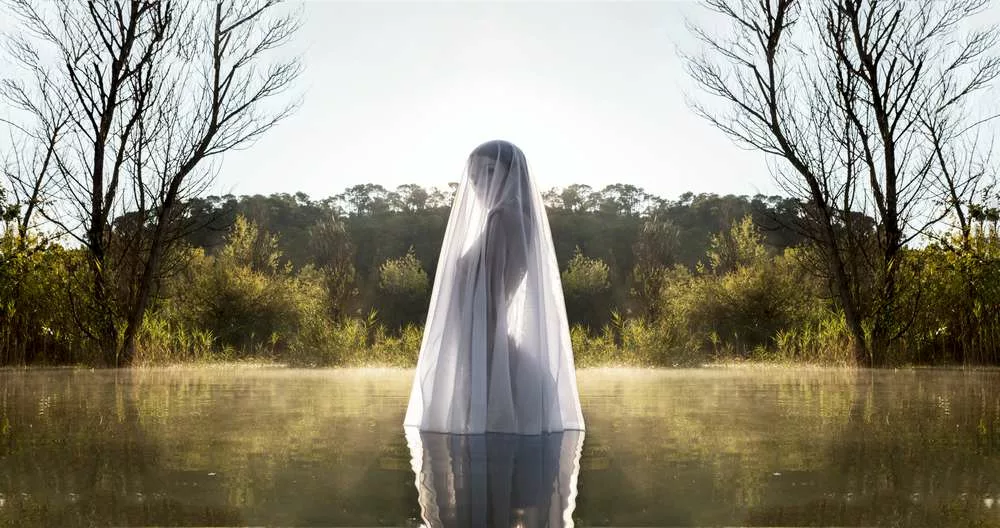 Ventes de photographies d&rsquo;art rock/metal : Tirages numérotés 2026
