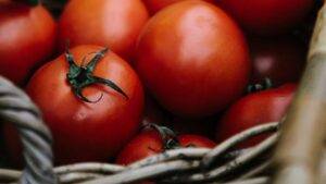 Farm to table 2