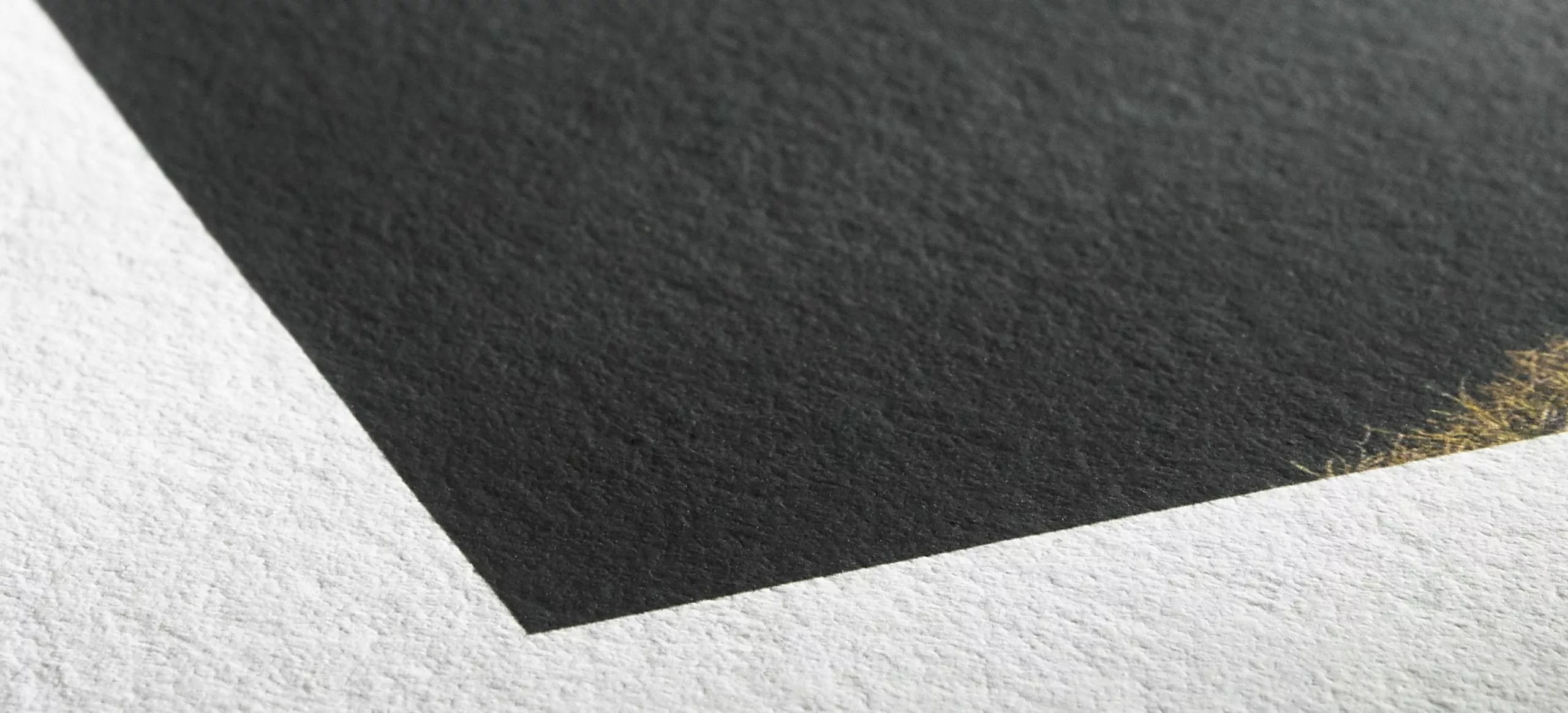 csm_Hahnemuehle_Detail_Photo_Rag_Bright_White_d6f5c4023d