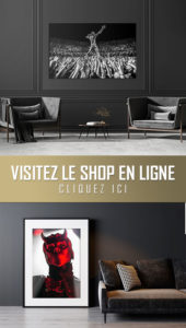 Visitez le shop