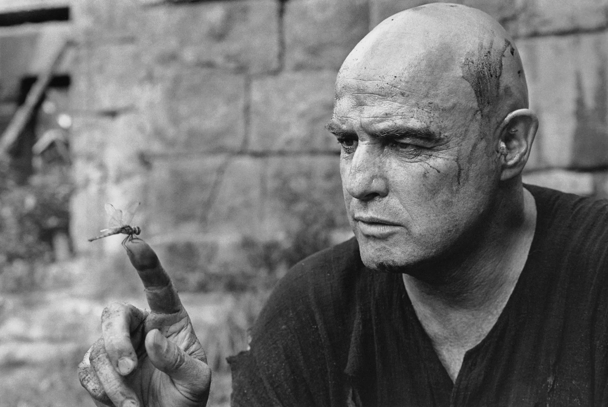 Marlon Brando et l'insecte