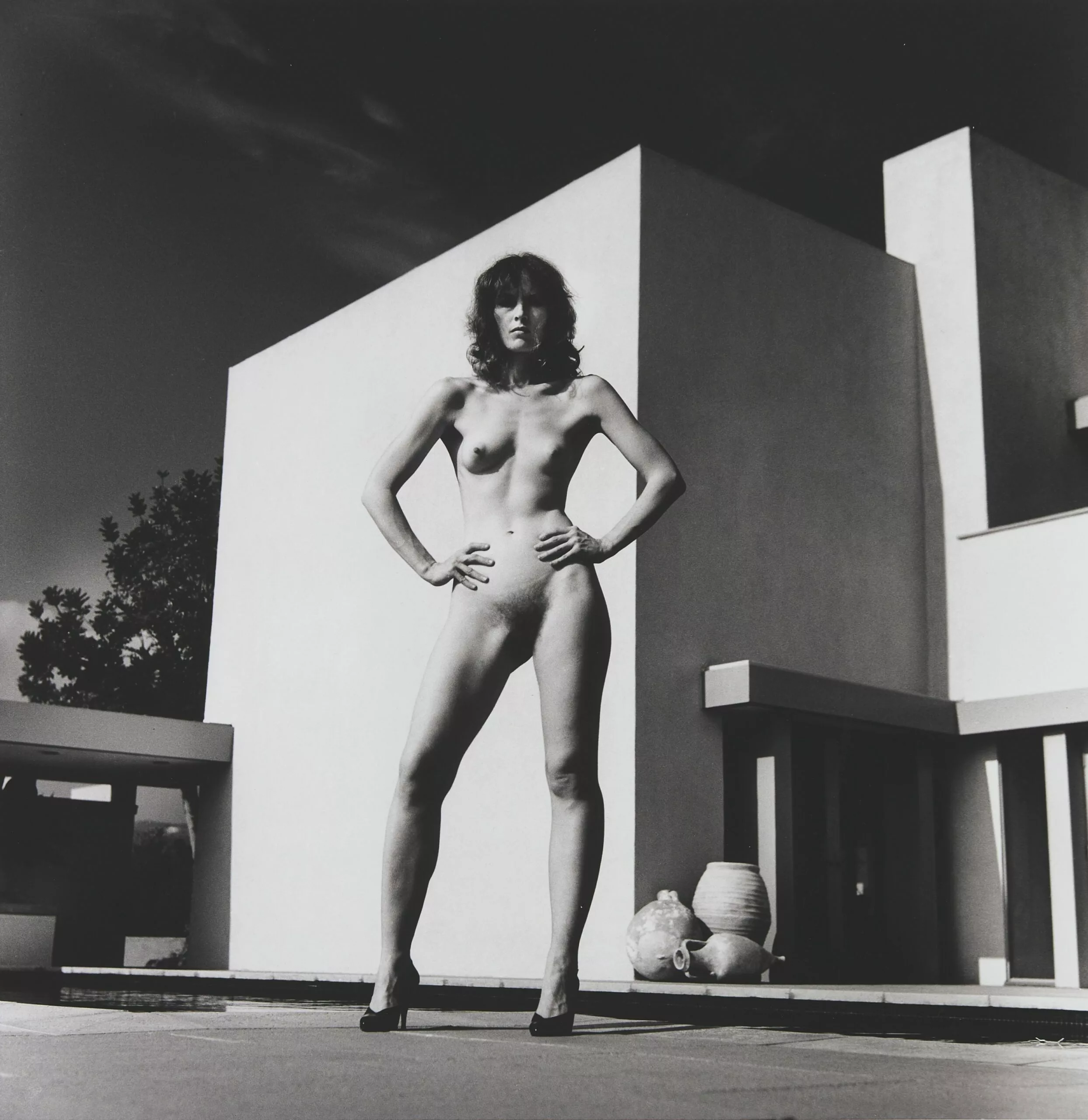 Helmut Newton photographe : génie iconique et héritage 2026
