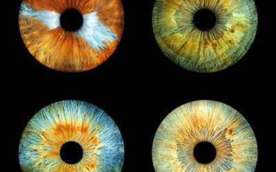 Photo iris: Plongez dans le monde fascinant de l’iris en photographie