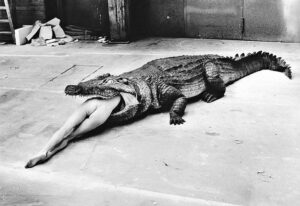 helmut newton photogtaphe photo 3