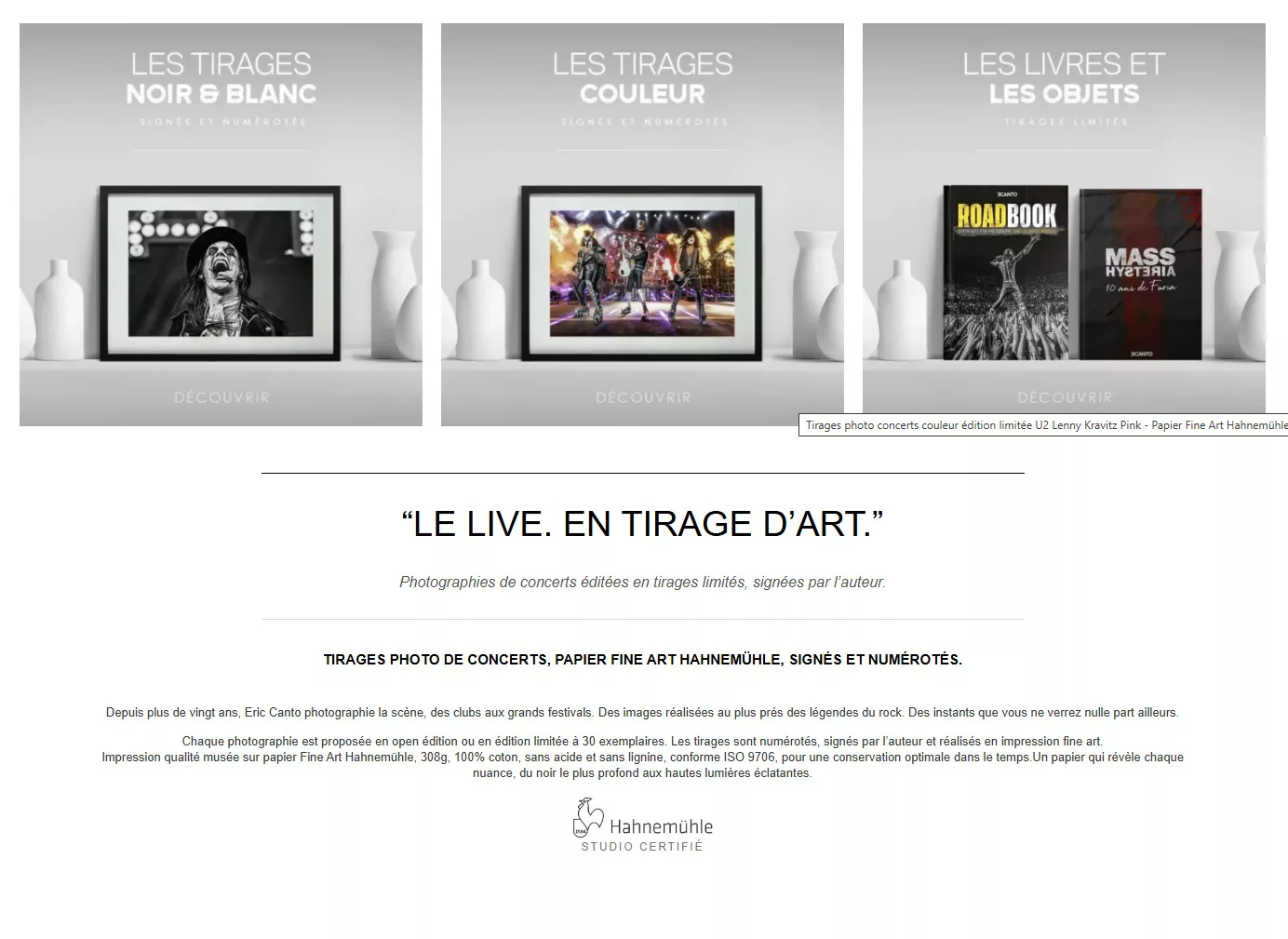 Photo de concert rock – énergie du live sur scène