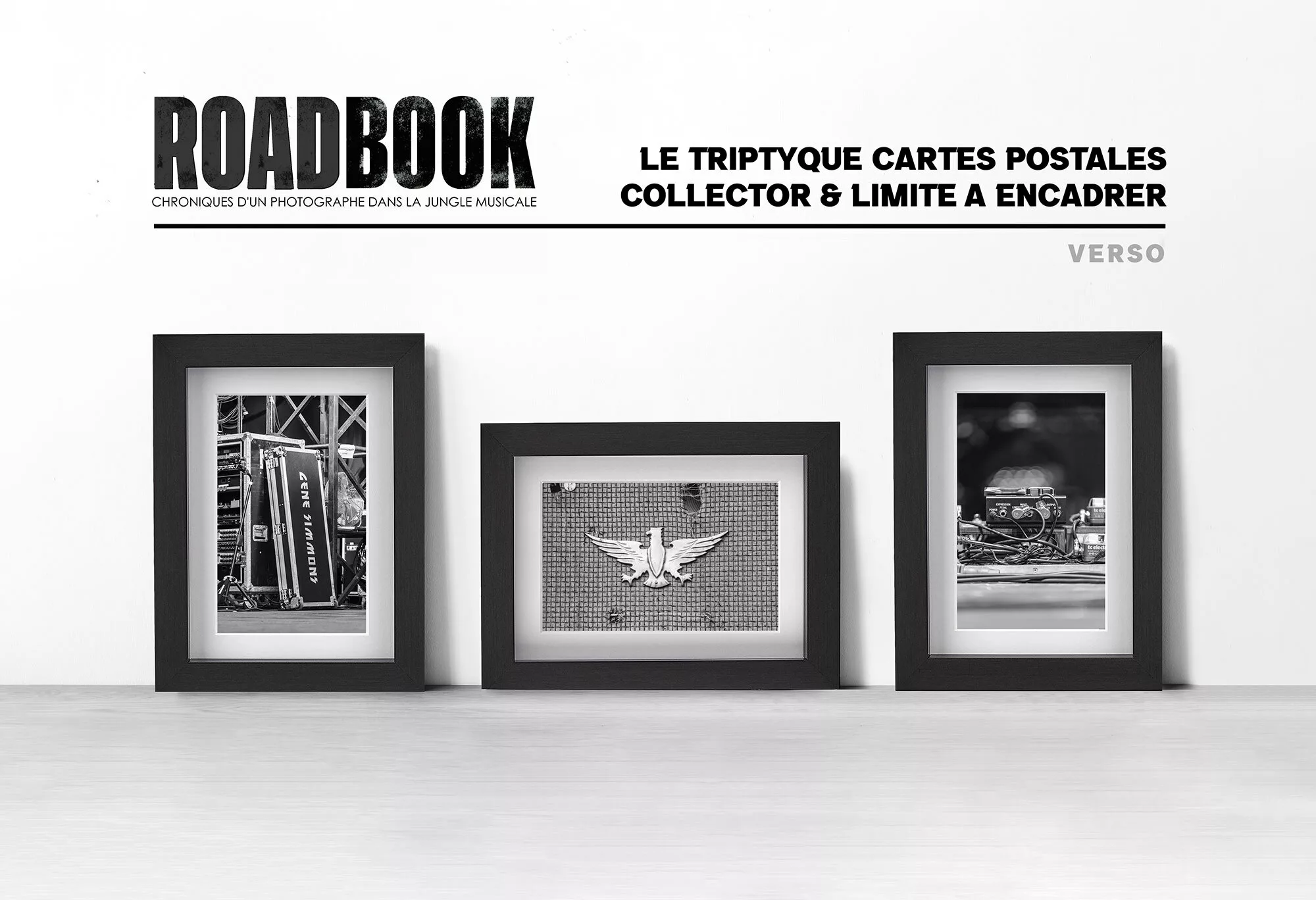 ROADBOOK LIVRE PHOTO CONCERT ERIC CANTO (1)
