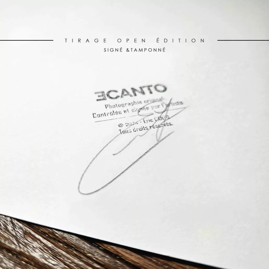 Metallica / Mass en coulisses — tirage d'art noir et blanc signé Eric Canto