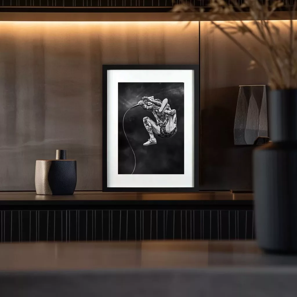 Franck Carter en concert — photographie Eric Canto