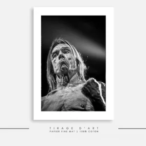 IGGY POP - Europe Tour (2017)