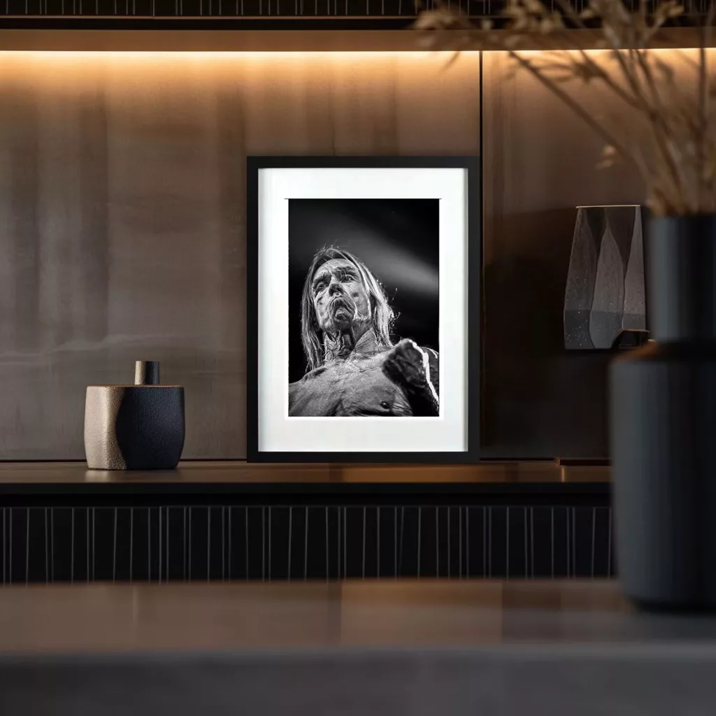 Iggy Pop en concert — photographie Eric Canto