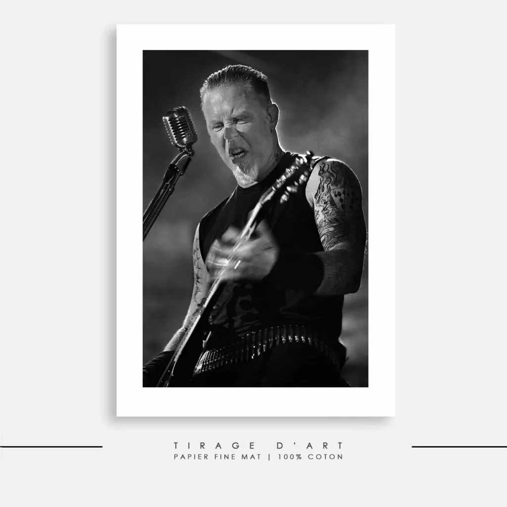 Photographe de concert Metallica en concert, World Magnetic Tour 2009, photographie d'Eric CANTO