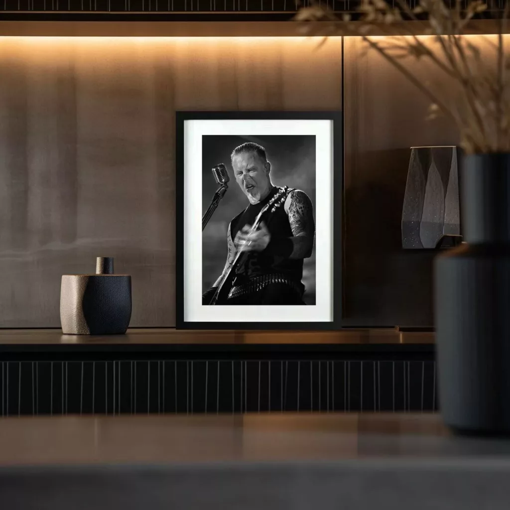 Metallica en concert — photographie Eric Canto