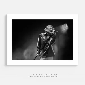 ROBERT PLANT - Europe Tour (2014)