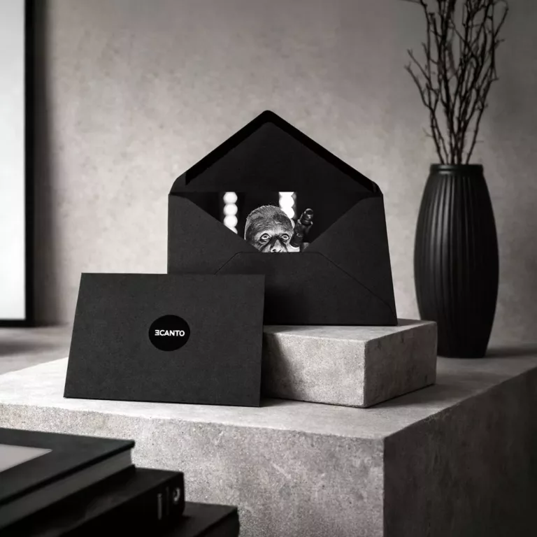 Collection Metal Icons, Première Édition — livre photo et objet signé Eric Canto, photographe rock & metal