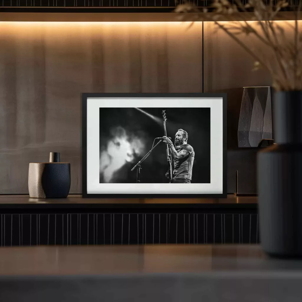 STING - Summer Tour (2015) Sting en concert — photographie Eric Canto