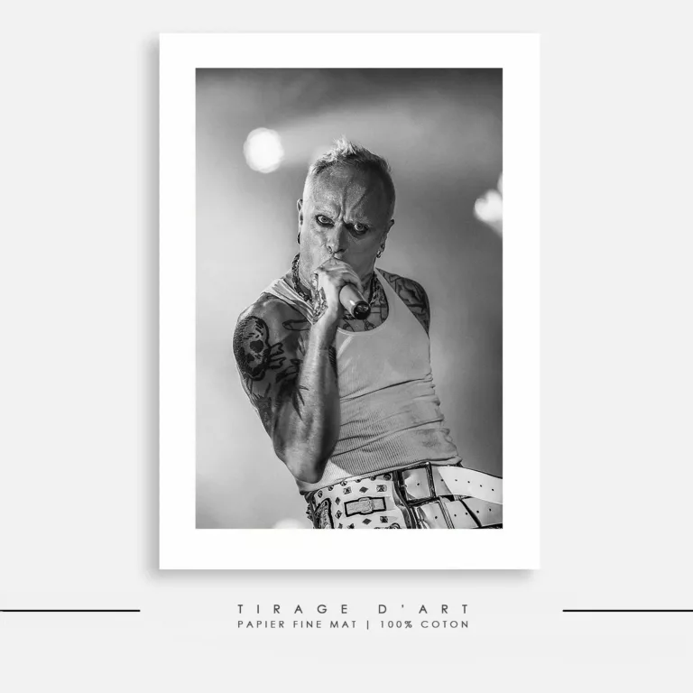 Tirage photo THE PRODIGY – Europe Tour (2009), concert rock en noir et blanc signé Eric Canto