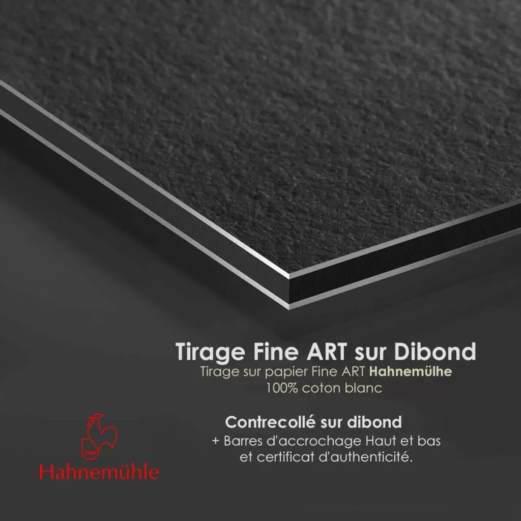 Tirage d'art encadré en situation – photographie de concert signée et numérotée, Eric CANTO