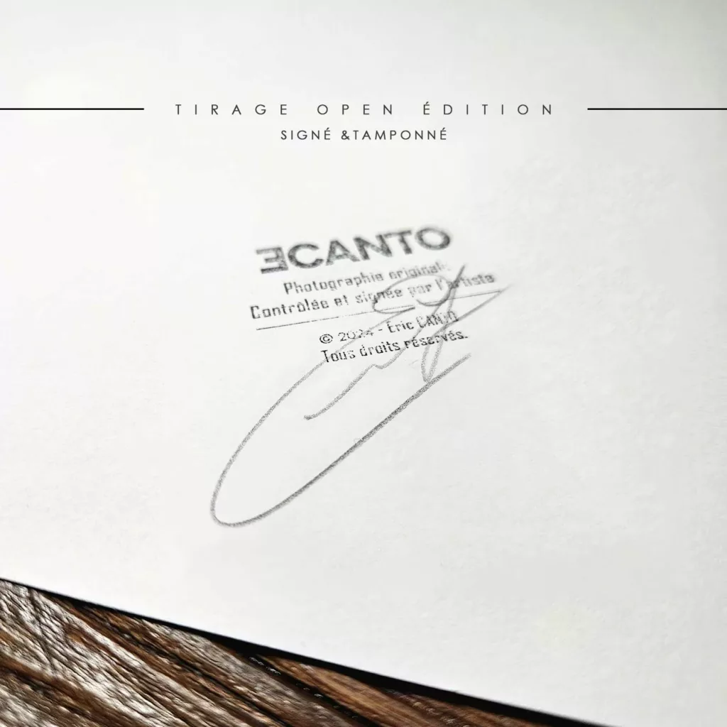 Tricky en concert — photographie Eric Canto
