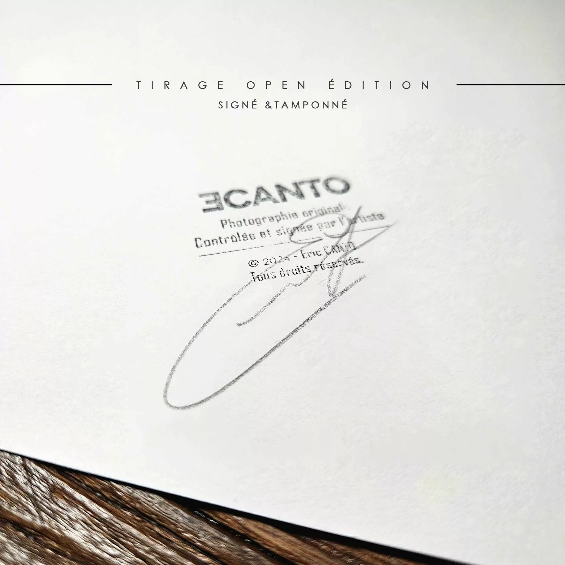 TRICKY Tirage d'art TRICKY, photographie de concert rock & metal signée Eric Canto
