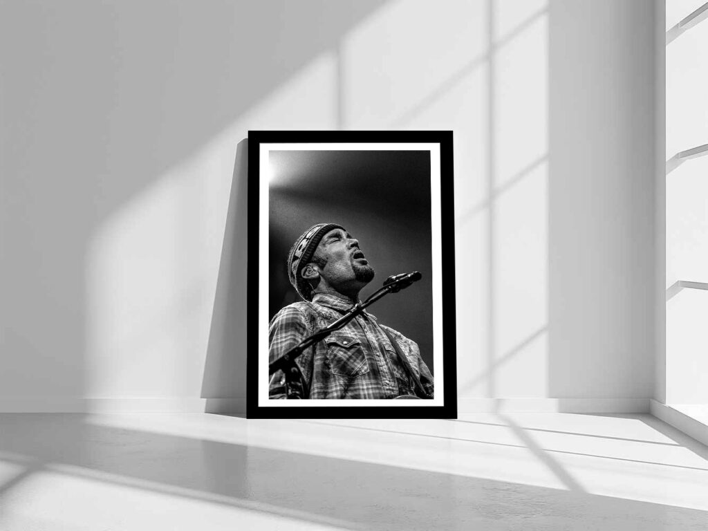 Ben Harper en concert aux Eurockéennes de Belfort, 2008, tirage photo signé Eric Canto